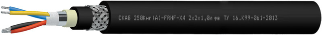 СКАБ 250Кнг(А)-FRHF-ХЛ Nx2xSл фв
