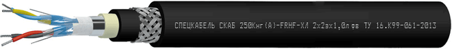 СКАБ 250Кнг(А)-FRHF-ХЛ Nx2эхSл фв