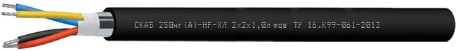 СКАБ 250нг(А)-HF-ХЛ Nx2xSл фов
